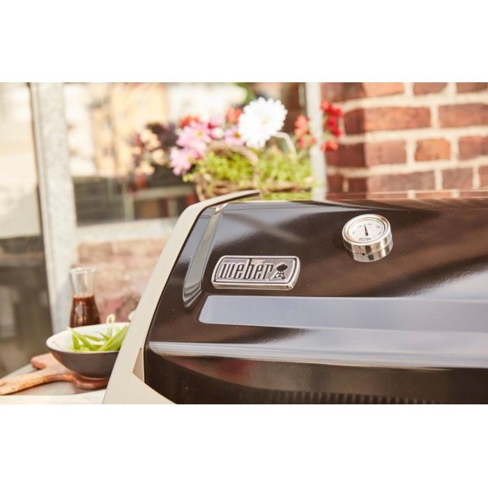 Barbecue Weber a Gs Spirit II E-220 GBS