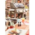 Barbecue Weber a Gs Spirit II E-220 GBS