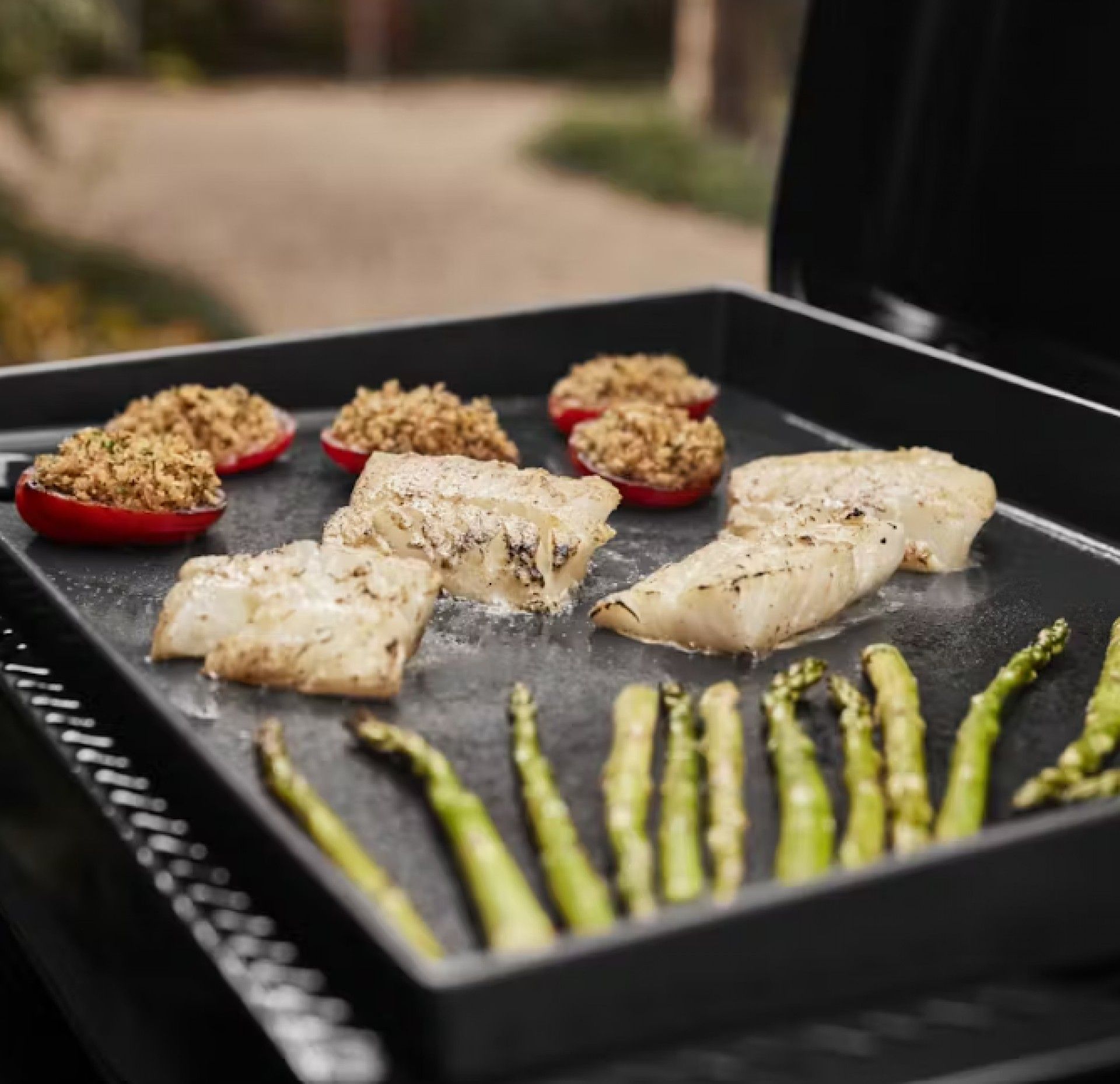 Placa Premium Weber Slate GP de 56 cm