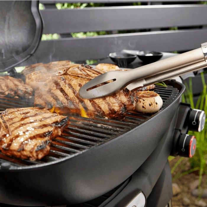 Barbecue Weber Q 2800N+ com Carrinho Premium Barbecue Weber Q 2800N+ com Carrinho Premium