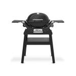 Barbecue Weber Q 1200N com Suporte Barbecue Weber Q 1200N com Suporte