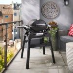 Barbecue Weber Q 1200N com Suporte Barbecue Weber Q 1200N com Suporte