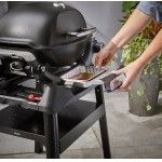 Barbecue Weber Q 1200N com Suporte Barbecue Weber Q 1200N com Suporte